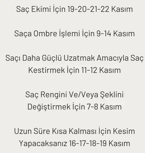 kasım (3).webp