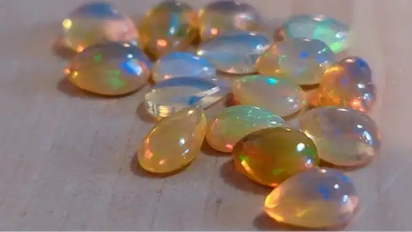 kasım ayı (14).webp