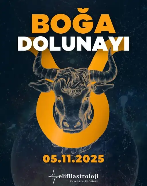 kasım ayı (14).webp