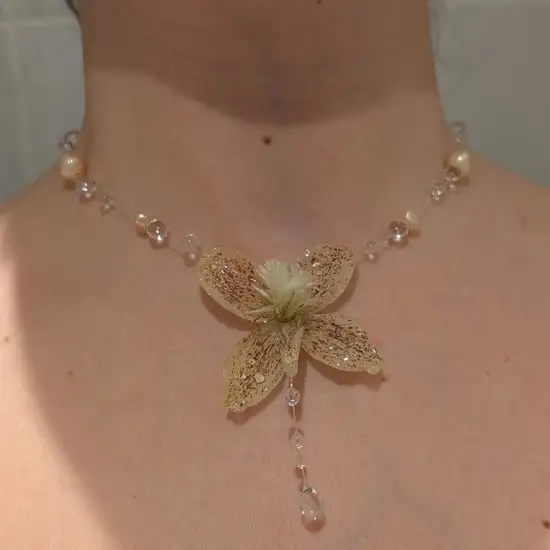 kasım ayı (2).webp