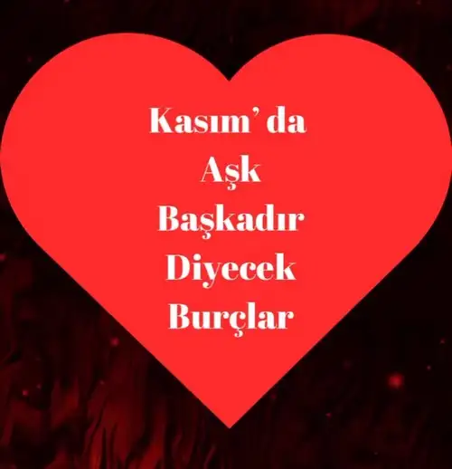kasım aylık (1).webp