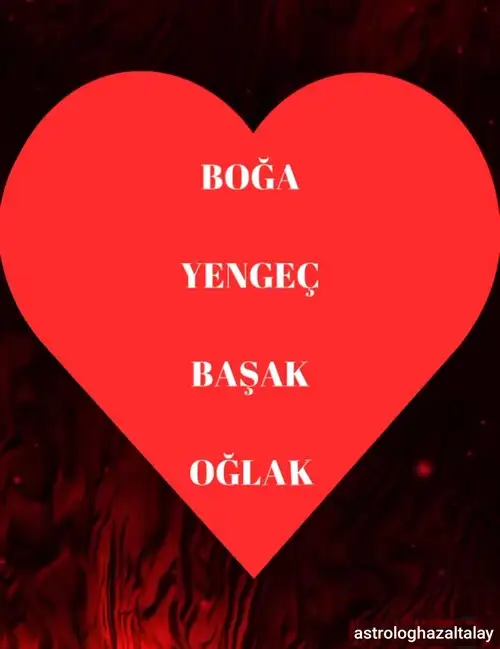 kasım aylık (2).webp