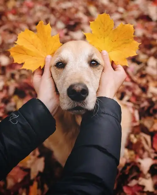 kasım aylık y (6).webp