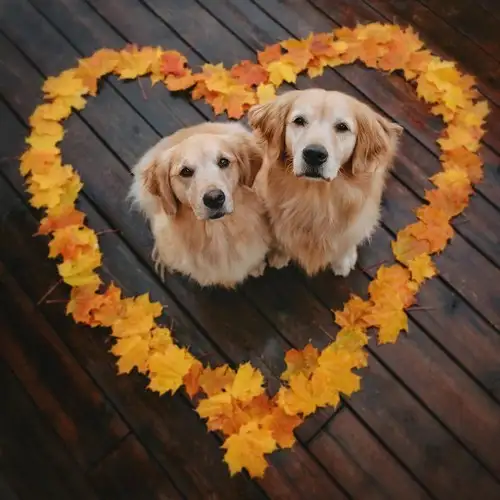 kasım aylık y (7).webp