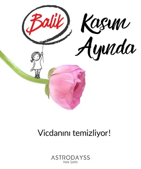 kasım aylık yorum6 (12).webp