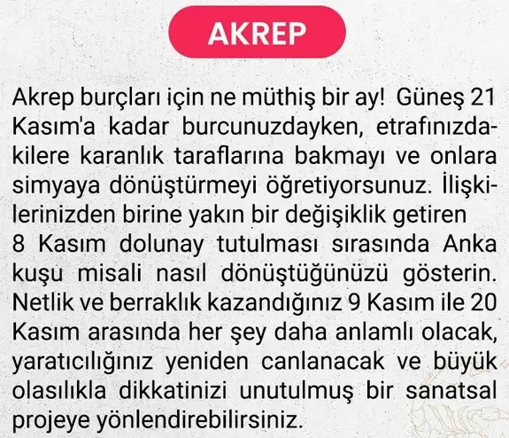 kasım aylık6 (12).webp