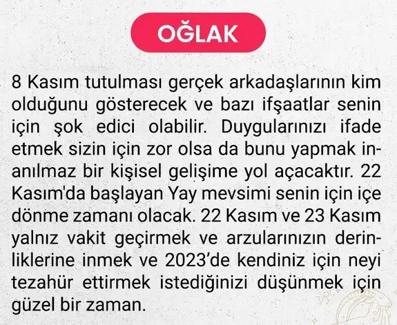 kasım aylık6 (15).webp
