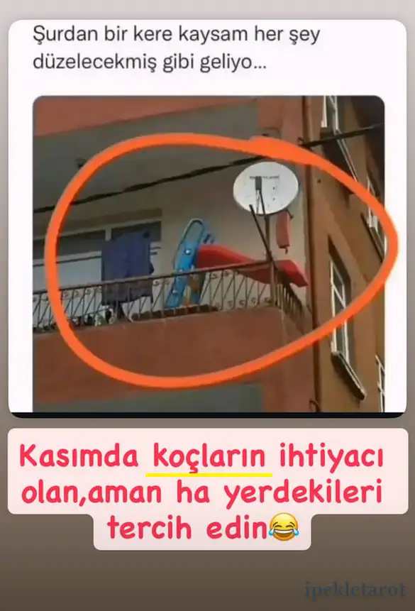 kasım ipekk (1).webp