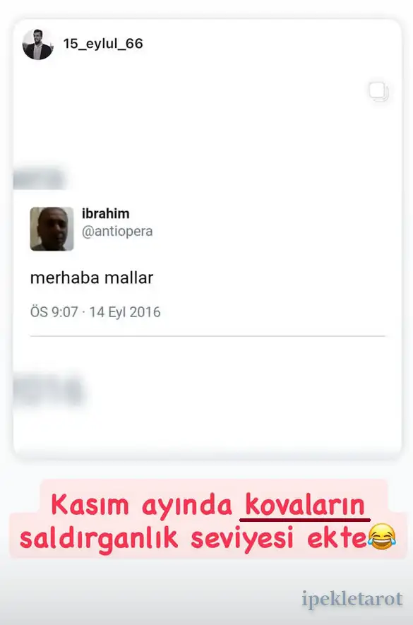 kasım ipekk (14).webp