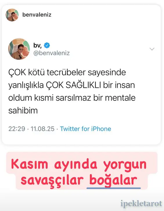 kasım ipekk (2).webp