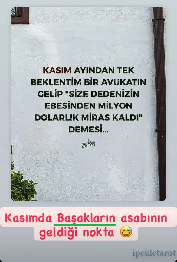 kasım ipekk (7).webp