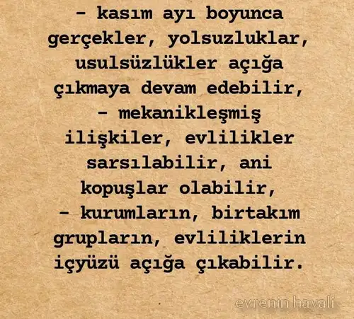 kasım2 (1).webp