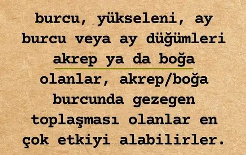 kasım2 (3).webp