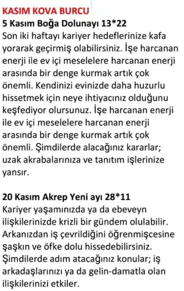 kasım6 (13).webp
