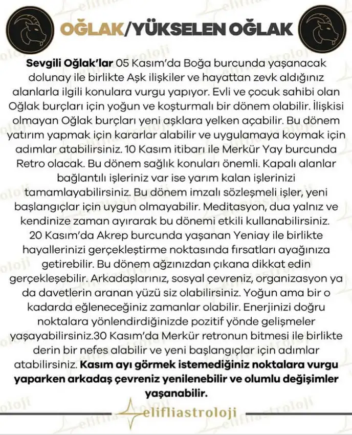 kasım7 (11).webp