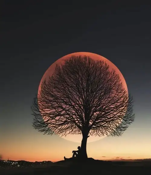 kasımm aylık (1).webp