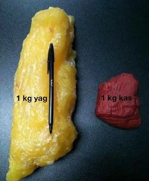 kasyag.webp