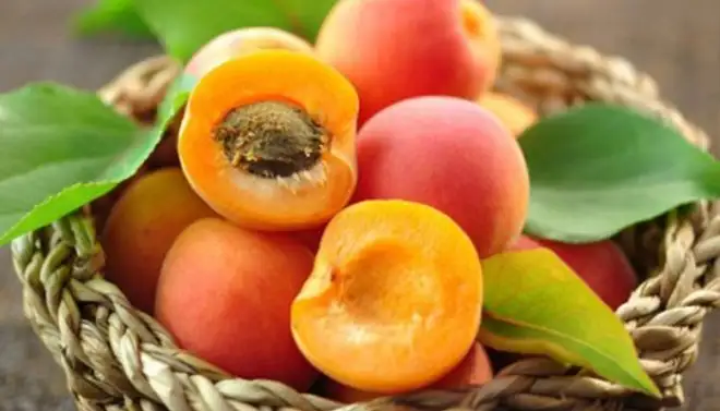 kayisi-maskesi-nasil-yapilir-kayisi-maskesi-faydalari.webp