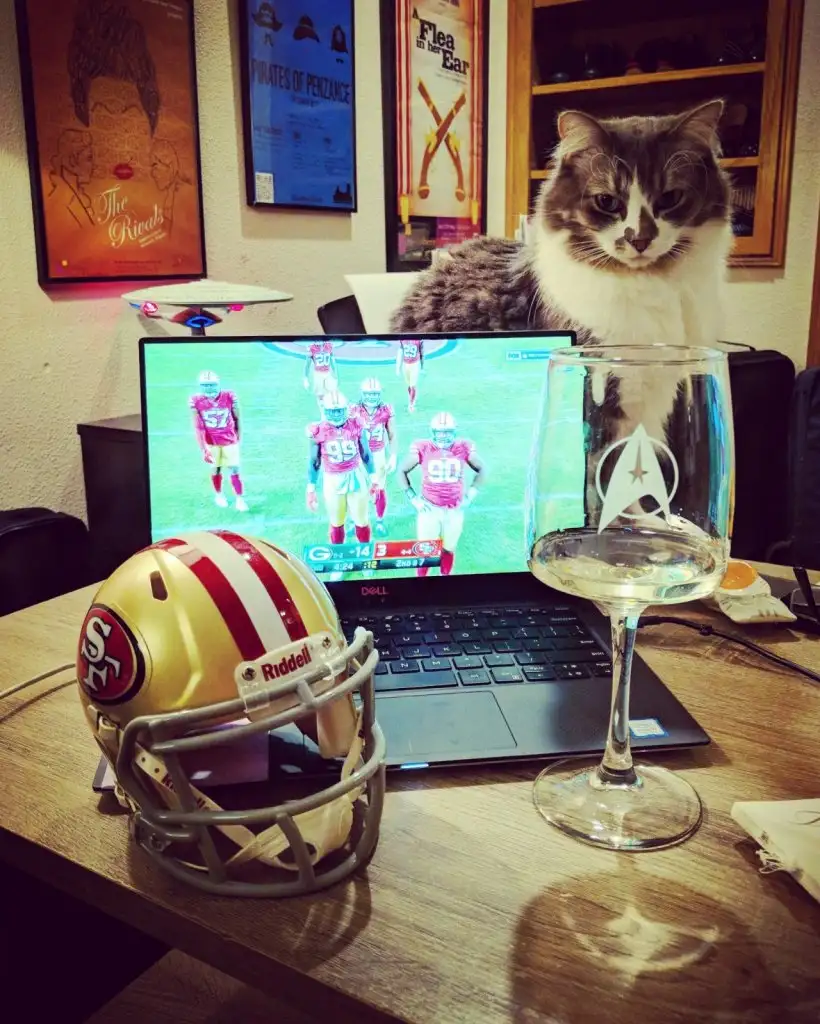 kedi 0 (15).webp
