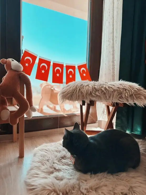 kedi bayrak (13).webp