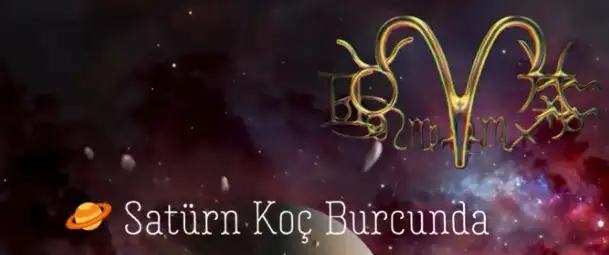 kedi bayrak (2).webp