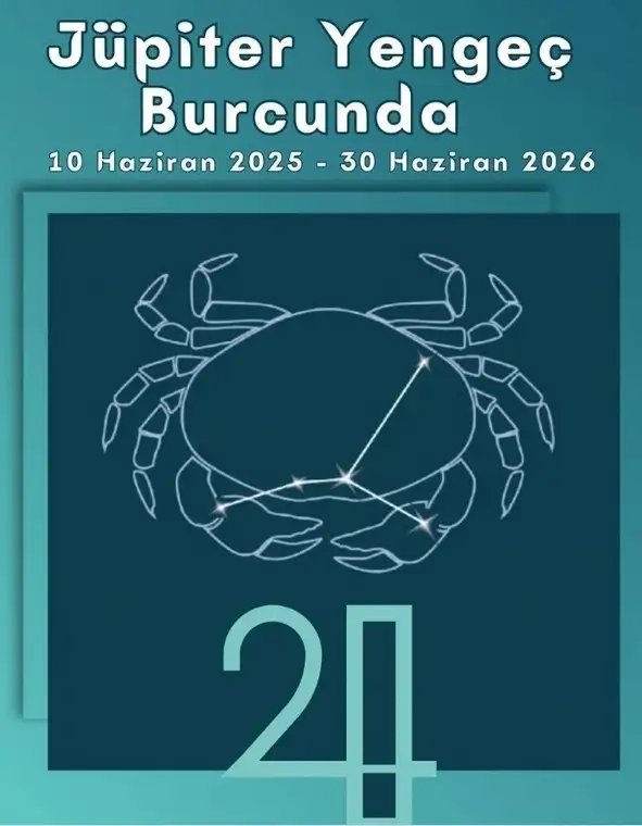 kedi bayrak (23).webp