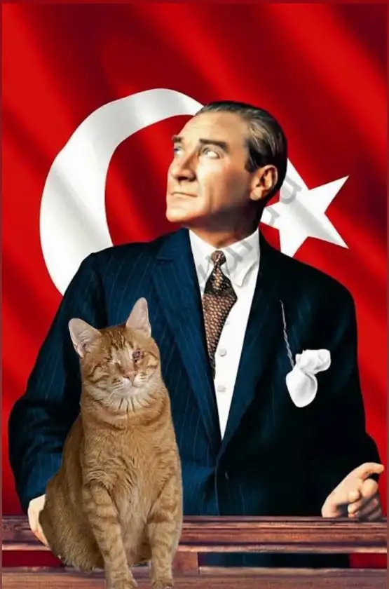 kedi bayrak (4).webp