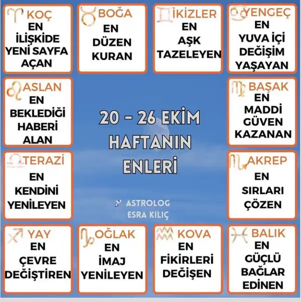kedi dişş (1).webp