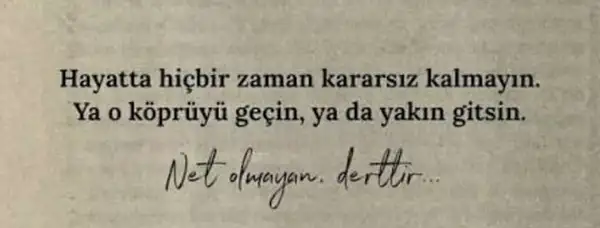 kedi dişş (2).webp