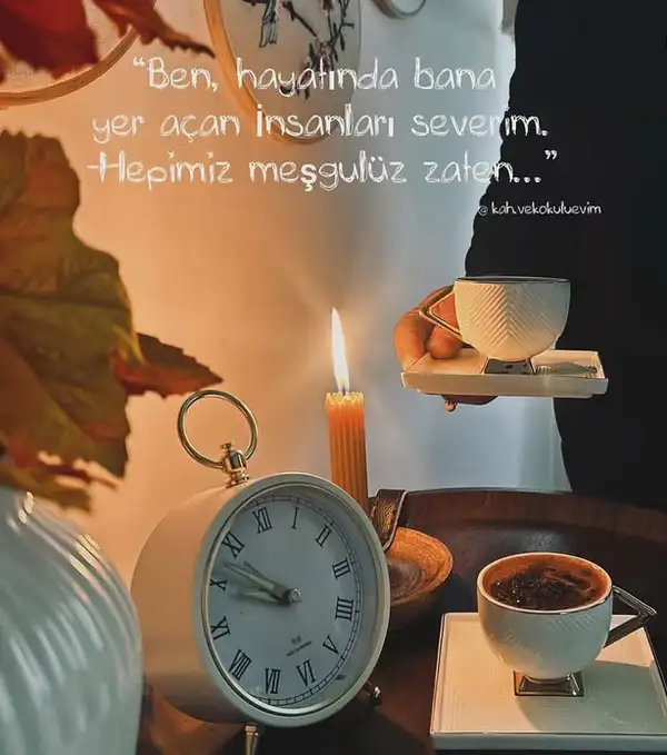 kedi dişş (3).webp