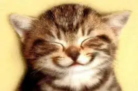 kedi-gibi-gulumseyen-bebek-suratli-kiz_730772.webp