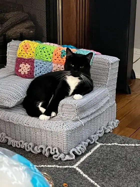 kedi haft (9).webp