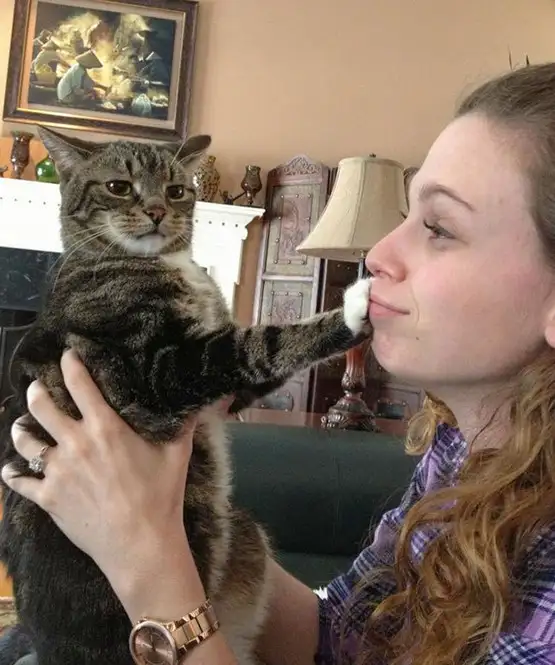 kedi insan (1).webp