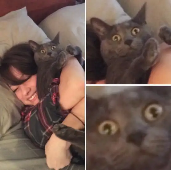 kedi insan (11).webp