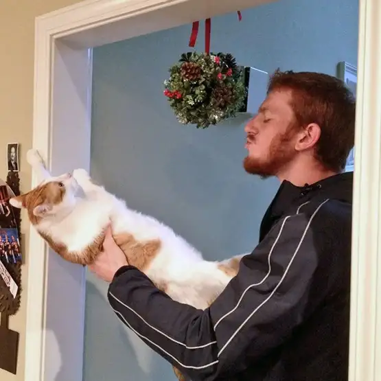kedi insan (4).webp