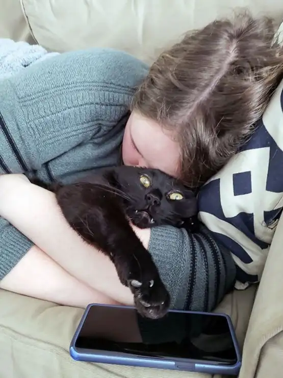 kedi insan (5).webp