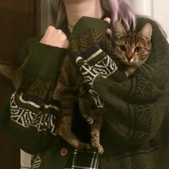 kedi insan (6).webp