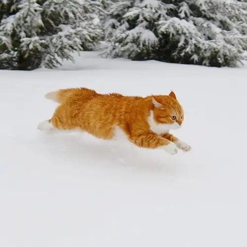 kedi kış  (5).webp