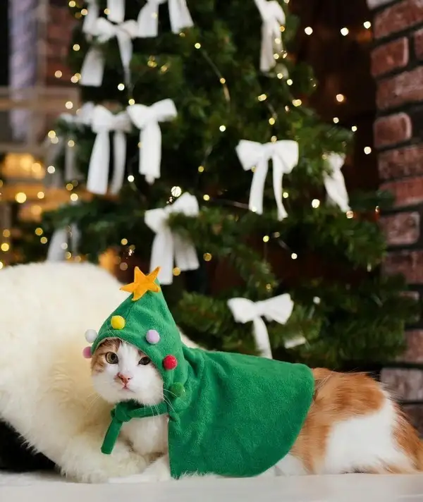 kedi yılbaşı (3).webp