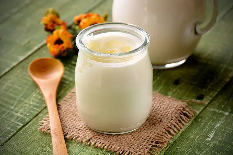 kefir-nedir-nasil-yapilir-kefirin-faydalari.webp