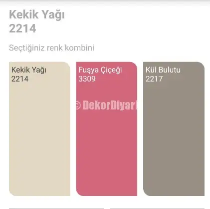 Kekik-Yağı-Fuşya-Çiçeği-Kul-Bulutu-Rengi-Renk-Kombinasyonu.webp