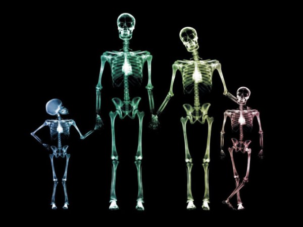 Kemik-Sayısı-İnsan-Vücudu-Hakkında-20-Şaşırtıcı-Bilgi-e1342692081949.jpg
