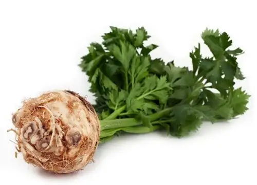 kereviz-bol-miktarda-a-vitamini-icerir-ve-goez-sagligini-korur.webp