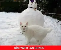 kimyaptılanbunu.webp