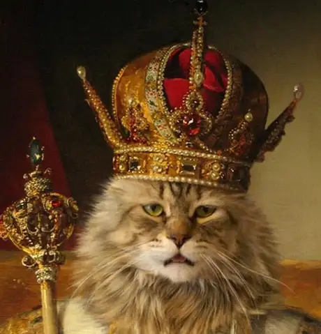 King.cat.1.webp