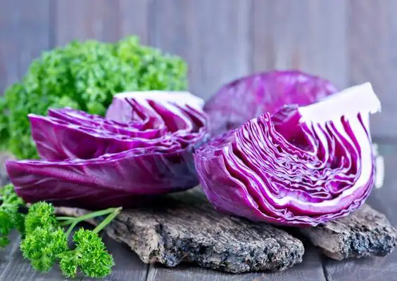 kırmızı-lahana-nasıl-saklanır.webp