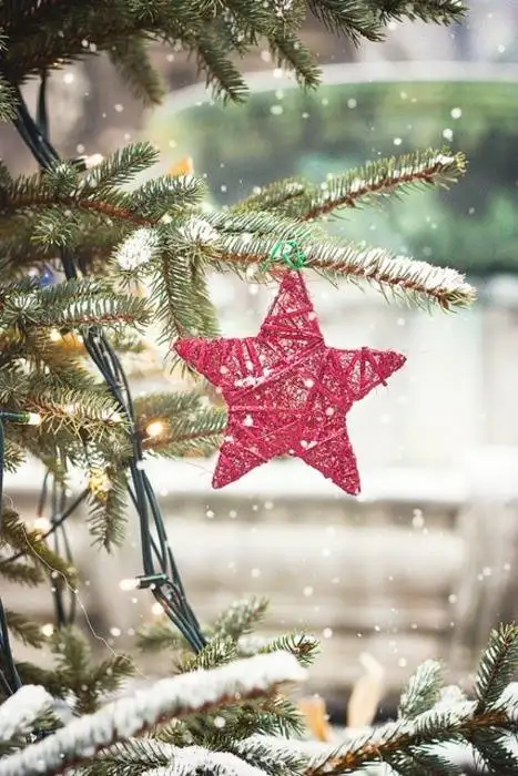 kis_temali_dekorasyon (9).webp