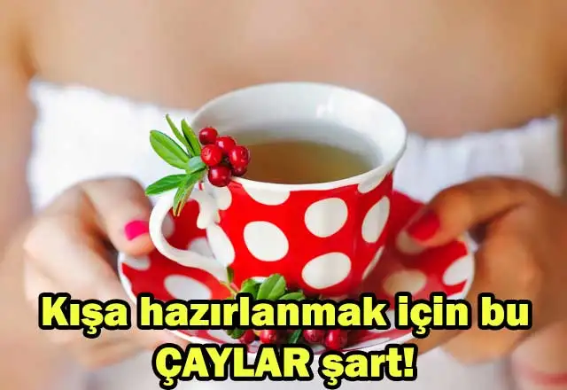 kisa-hazirlanmak-icin-bu-caylar-sart--6380584.webp