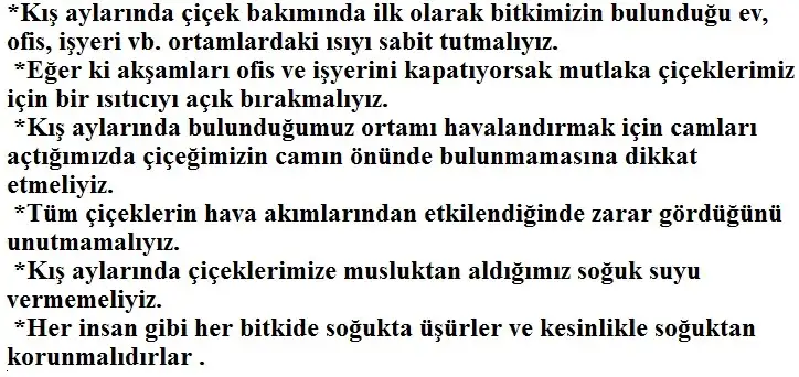 kisin-evde-cicek-bakimi.webp