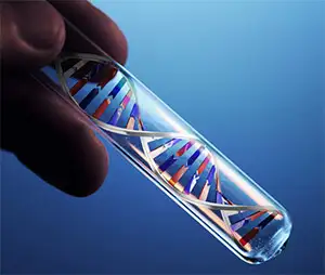 kisisel-dna-testi.webp